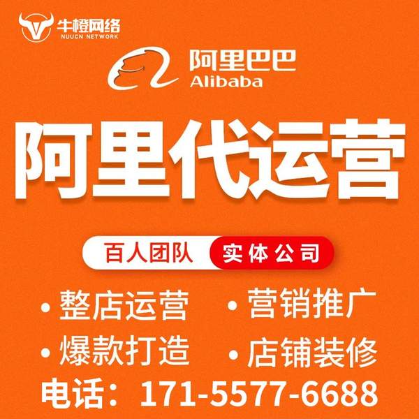 海林电商代运营