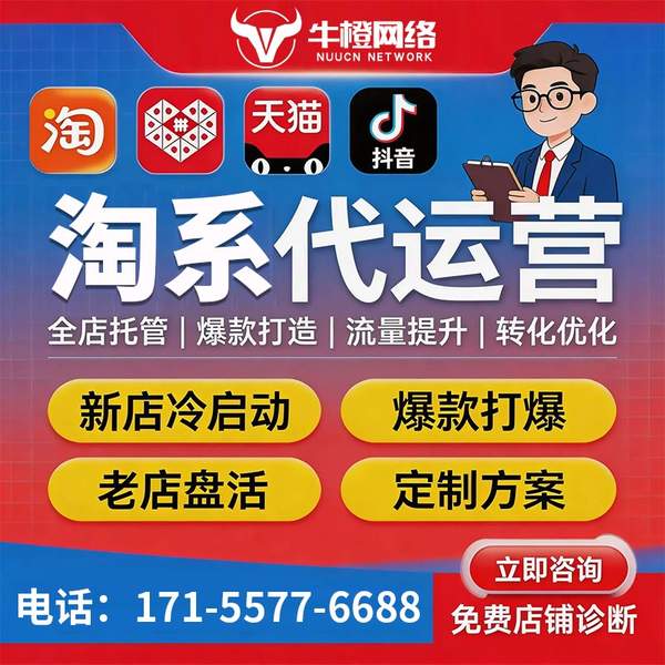 海林电商代运营