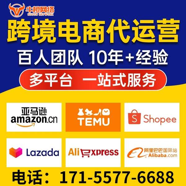 海林电商代运营