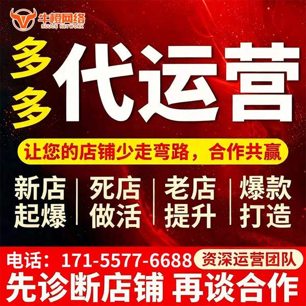 海林电商代运营