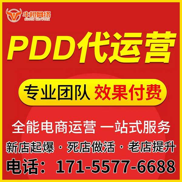 海林电商代运营