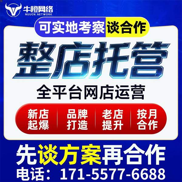 海林电商代运营