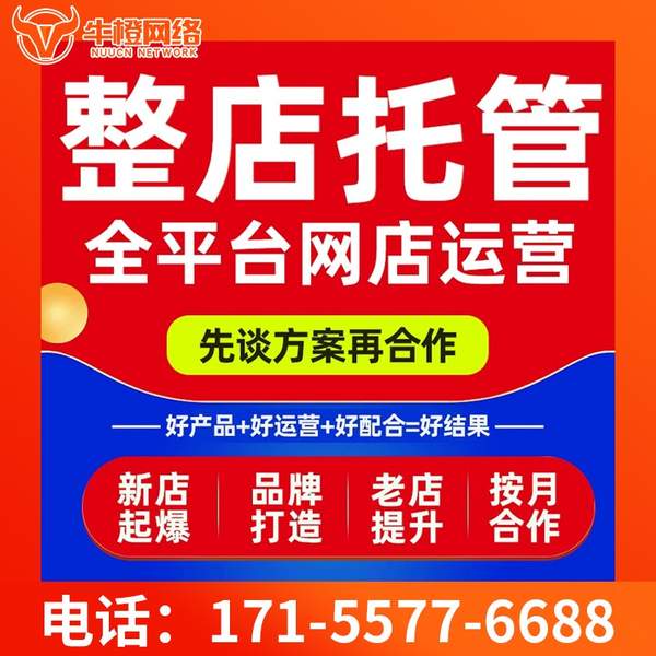 海林电商代运营