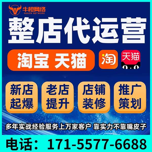 海林电商代运营