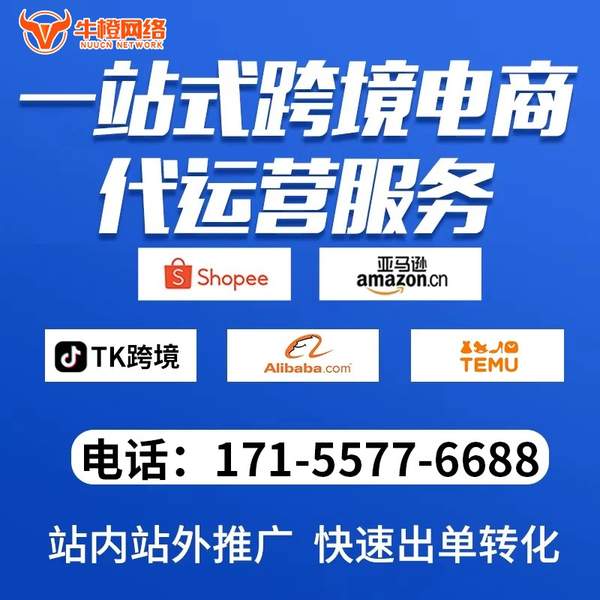 海林电商代运营