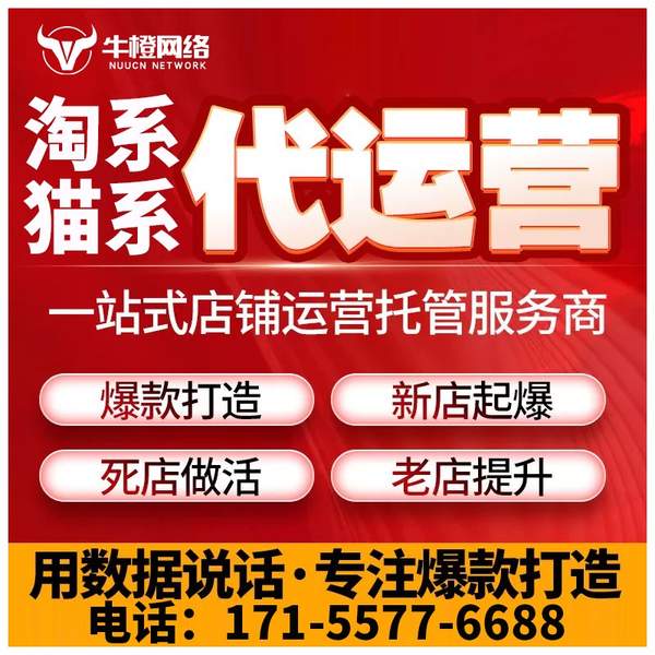 海林电商代运营